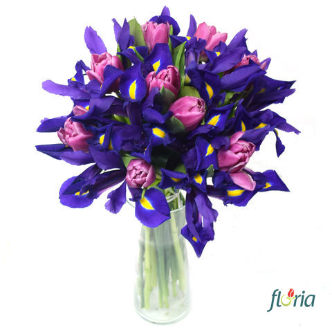 flori-flori-de-iris-pentru-iris-2613