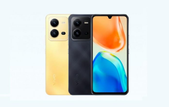 vivo