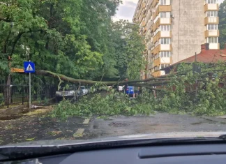 Furtuna a făcut ravagii în București