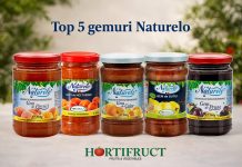 Top 5 gemuri Naturelo – preferințele consumatorilor pentru gust autentic românesc