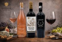 Vinurile lunii ianuarie de la Domeniile Ostrov deschid anul cu rafinament și expresivitate