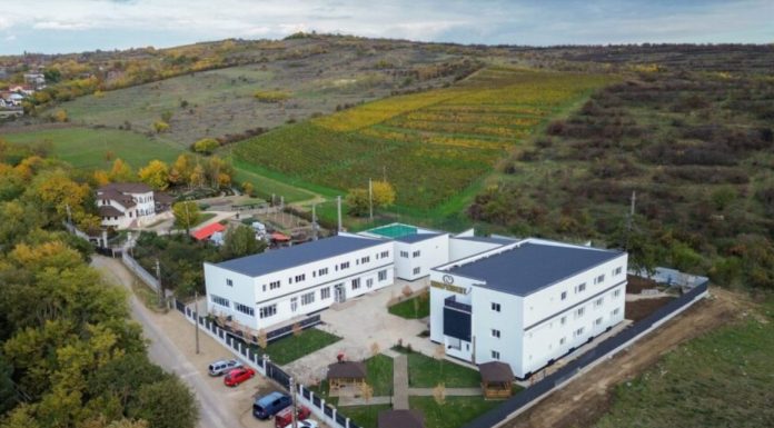 Tratamentul dependențelor în diaspora: de ce tot mai mulți români aleg România clinica independent dependenta jocuri dependenta alcool