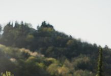 FERRARI PUROSANGUE ÎN CONFIGURAȚIE HANDLING SPECIALE