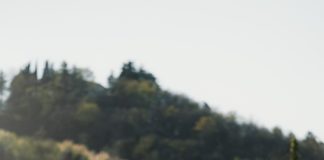 FERRARI PUROSANGUE ÎN CONFIGURAȚIE HANDLING SPECIALE