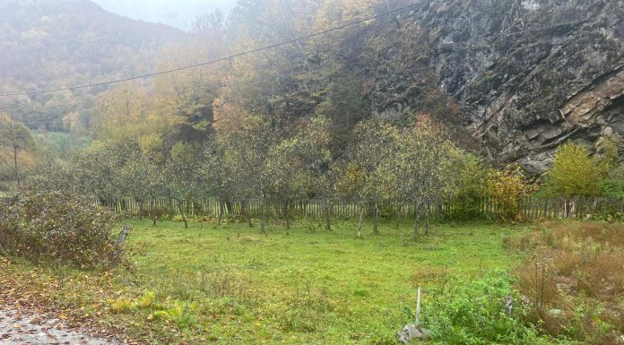 Delta Concept OOD: construcția prefabricată LGS aduce eficiență și control real — preț fix, termen fix, kit complet livrat dintr-o singură sursă.