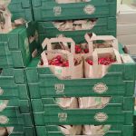Piața Lidl cireșe de Ostrov